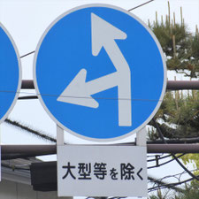 異形矢印標識(指定方向外進行禁止)。広島県尾道市にある。