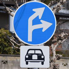 異形矢印標識(指定方向外進行禁止)。栃木県足利市にある。