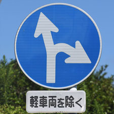 異形矢印標識(指定方向外進行禁止)。静岡県静岡市駿河区にある。