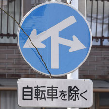 異形矢印標識(指定方向外進行禁止)。東京都中野区にある。