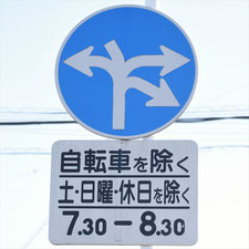 異形矢印標識(指定方向外進行禁止)。群馬県前橋市にある。