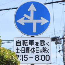 異形矢印標識(指定方向外進行禁止)。茨城県水戸市にある。