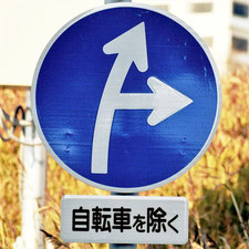 異形矢印標識(指定方向外進行禁止)。広島県広島市にある。