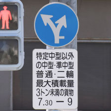 異形矢印標識(指定方向外進行禁止)。熊本県熊本市にある。