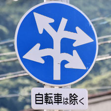異形矢印標識(指定方向外進行禁止)。広島県府中市にある。
