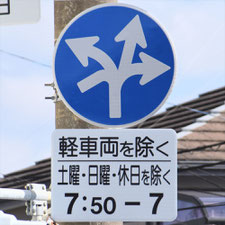異形矢印標識(指定方向外進行禁止)。静岡県富士市にある。