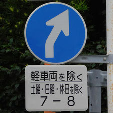 異形矢印標識(指定方向外進行禁止)。静岡県浜松市にある。