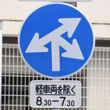 異形矢印標識(指定方向外進行禁止)。静岡県静岡市葵区にある。