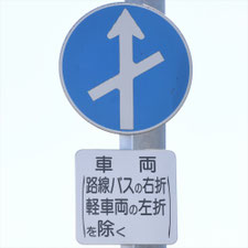 異形矢印標識(指定方向外進行禁止)。熊本県熊本市にある。