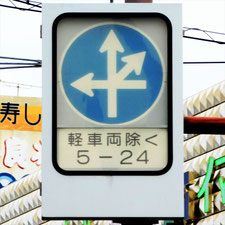 異形矢印標識(指定方向外進行禁止)。徳島県徳島市にある。