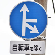 異形矢印標識(指定方向外進行禁止)。広島県広島市にある。