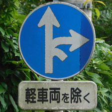 異形矢印標識(指定方向外進行禁止)。静岡県三島市にある。