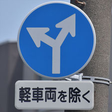 異形矢印標識(指定方向外進行禁止)。静岡県沼津市にある。