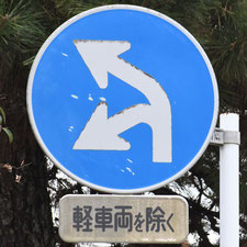 異形矢印標識(指定方向外進行禁止)。静岡県藤枝市にある。