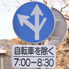 異形矢印標識(指定方向外進行禁止)。長野県岡谷市にある。