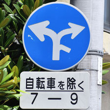 異形矢印標識(指定方向外進行禁止)。岡山県岡山市にある。