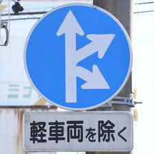 異形矢印標識(指定方向外進行禁止)。静岡県湖西市にある。