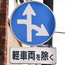 異形矢印標識(指定方向外進行禁止)。静岡県伊東市にある。