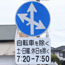 異形矢印標識(指定方向外進行禁止)。茨城県ひたちなか市にある。