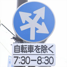 異形矢印標識(指定方向外進行禁止)。長野県長野市にある。