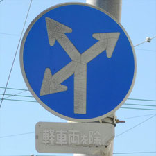 異形矢印標識(指定方向外進行禁止)。静岡県浜松市にある。