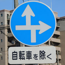異形矢印標識(指定方向外進行禁止)。岡山県岡山市北区にある。