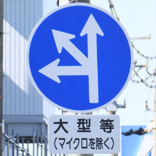 異形矢印標識(指定方向外進行禁止)。静岡県浜松市にある。