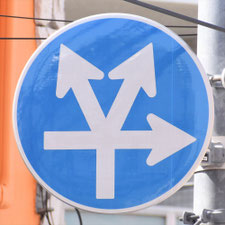 異形矢印標識(指定方向外進行禁止)。東京都中野区にある。