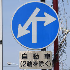 異形矢印標識(指定方向外進行禁止)。茨城県土浦市にある。