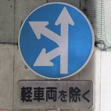 異形矢印標識(指定方向外進行禁止)。静岡県富士市にある。