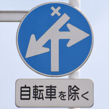 異形矢印標識(指定方向外進行禁止)。栃木県宇都宮市にある。