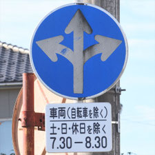 異形矢印標識(指定方向外進行禁止)。新潟県新潟市にある。