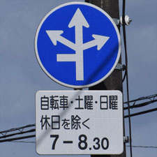異形矢印標識(指定方向外進行禁止)。栃木県宇都宮市にある。