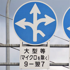 異形矢印標識(指定方向外進行禁止)。広島県海田町にある。