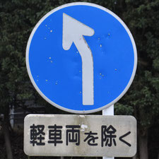 異形矢印標識(指定方向外進行禁止)。静岡県焼津市にある。