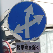 異形矢印標識(指定方向外進行禁止)。静岡県浜松市にある。