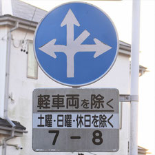 異形矢印標識(指定方向外進行禁止)。静岡県藤枝市にある。