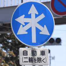 異形矢印標識(指定方向外進行禁止)。栃木県佐野市にある。