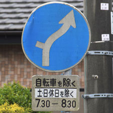異形矢印標識(指定方向外進行禁止)。茨城県ひたちなか市にある。