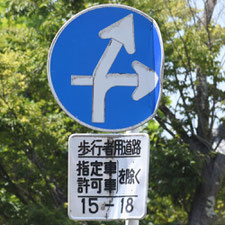異形矢印標識(指定方向外進行禁止)。千葉県千葉市にある。
