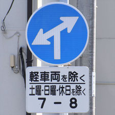 異形矢印標識(指定方向外進行禁止)。静岡県浜松市にある。