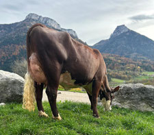 2ème : TEDDY (Pacman x Beethoven)