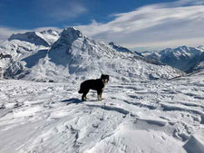 Der Schnee war zum Teil sehr gut :-)