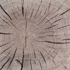 Constructive wood beam detail, image by Heidi Mergl Architect