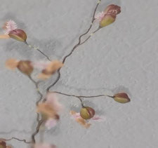 チゴザサ(花)