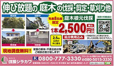 庭木根元伐採 1本2,500円（先着8名様限定）