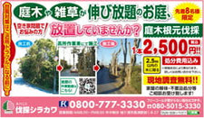 庭木根元伐採 1本2500円（先着8名様限定）　伐採シラカワ