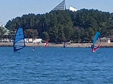 ウインドサーフィン　スクール　ＳＵＰ　海の公園　神奈川　横浜　スピードウォール　初心者　体験