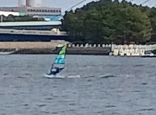 speedwall 神奈川　横浜　海の公園　ウインドサーフィン　SUP　スクール　体験　スピードウォール
