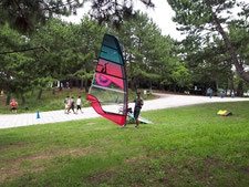 ウインドサーフィン　ＳＵＰ　海の公園　神奈川　横浜　スピードウォール　スクール　体験　初心者